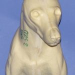 CCOS2 Coyote - Shoulder - Peter Knapton