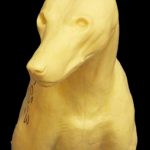 CCOS3 Coyote - Shoulder - Peter Knapton