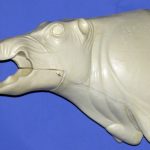 CEB20S Euro Boar - Open Mouth