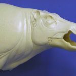 CEB21S Euro Boar - Open Mouth