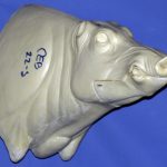 CEB22S CM Euro Boar - Closed Mouth