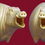 CEB24R Euro Boar - Open Mouth