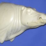 CEB25S CM Straight Closed Mouth