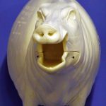 CEB27R Euro Boar - Open Mouth