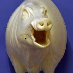 CEB28L Euro Boar - Open Mouth