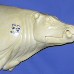 CEB28S CM Straight Closed Mouth