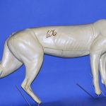 CFBC606 Bobcat Forms by Darin Flynn