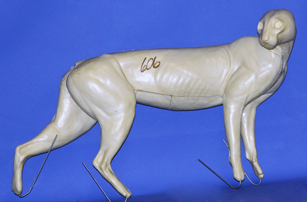 CFBC606 Bobcat Forms by Darin Flynn