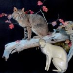 CFBC608 Bobcat Sitting Left Turn - Darrin Flynn