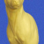 CFC401 Coyote - Shoulder - Darrin Flynn