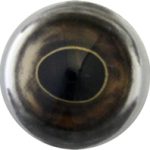 Largemouth Bass / Northern Pike - 18MM