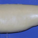 CFRFL510 Redfish by Gerald Flynn