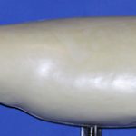 CFRFR561 Redfish - Right Turn