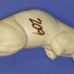 CFS209 Squirrel - Sitting