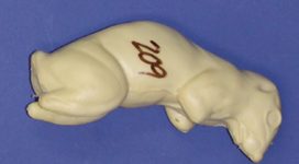 CFS209 Squirrel - Sitting