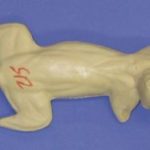 CFS215 Squirrel - Running Down Tree