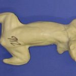 CFS216 Squirrel - Running Down Tree