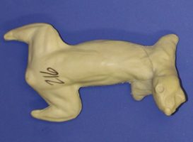 CFS216 Squirrel - Running Down Tree