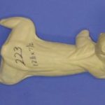 CFS223 Squirrel - Running Down Tree