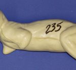 CFS235 Squirrel - Running on Branch