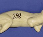 CFS238 Squirrel - Running on Branch