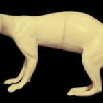 CFS23A Fisher - Peter Knapton