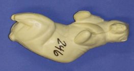 CFS246 Squirrel - Sitting