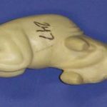 CFS247 Squirrel - Sitting