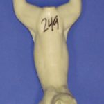 CFS249 Squirrel - Running Down Tree