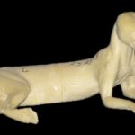 CFS25A Fisher - Peter Knapton