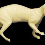 CFS27 Fisher - Peter Knapton