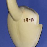 CFT114A Turkey Half Breast