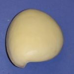 CFTS Turkey Feather Sheild