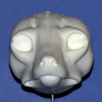 CHG31 Gray Fox Change Out Head