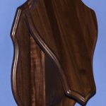 European Skull Wall Pedestal Walnut