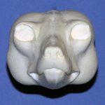 CHR45 Red Fox Change Out Head