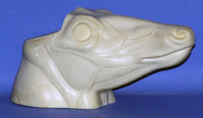 Whitetail Change Out Head from C128