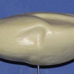 Bufflehead Drake Average