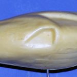 Bufflehead Drake Large