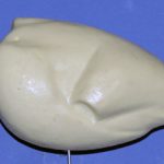 Ring-necked Pheasant Standing