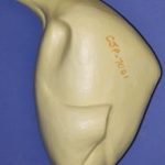 CJP7001 Turkey - Standing