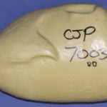 CJP7003 Turkey - Strutting