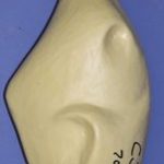 CJP7005 Turkey - Flying