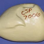 CJP7006 Turkey - Strutting