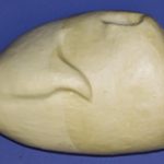 CJP7010 Turkey - Strutting