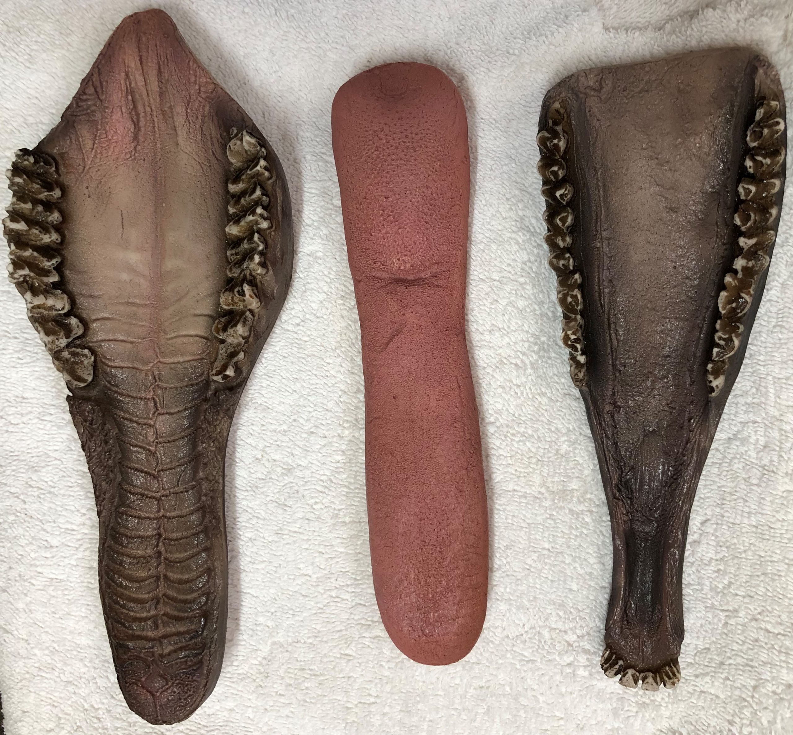 Classics Whitetail Jaw Set Medium