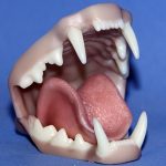 Mohr Bobcat Jawset Medium with Throat