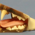 Mohr - Cheetah / Cougar