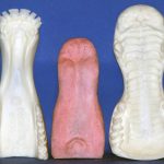 CJSE2 Bugling Elk Jaw Set - Unpainted