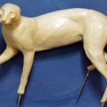 CKWBC1 Bobcat by Ken Walker